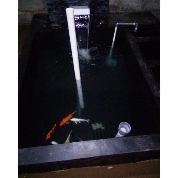 Cat untuk kolam ikan kolam renang genteng talang merk Bless Paint Pool Pain 1kg Anti bocor Murah