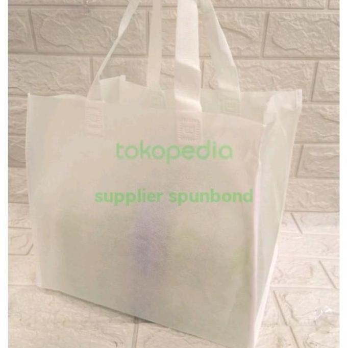 goodie bag tas kotak nasi /kotak kue /box