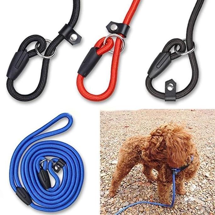 Tali Anjing Cesar Milan EXTRA LARGE Tali Tuntun Anjing Slip Lead