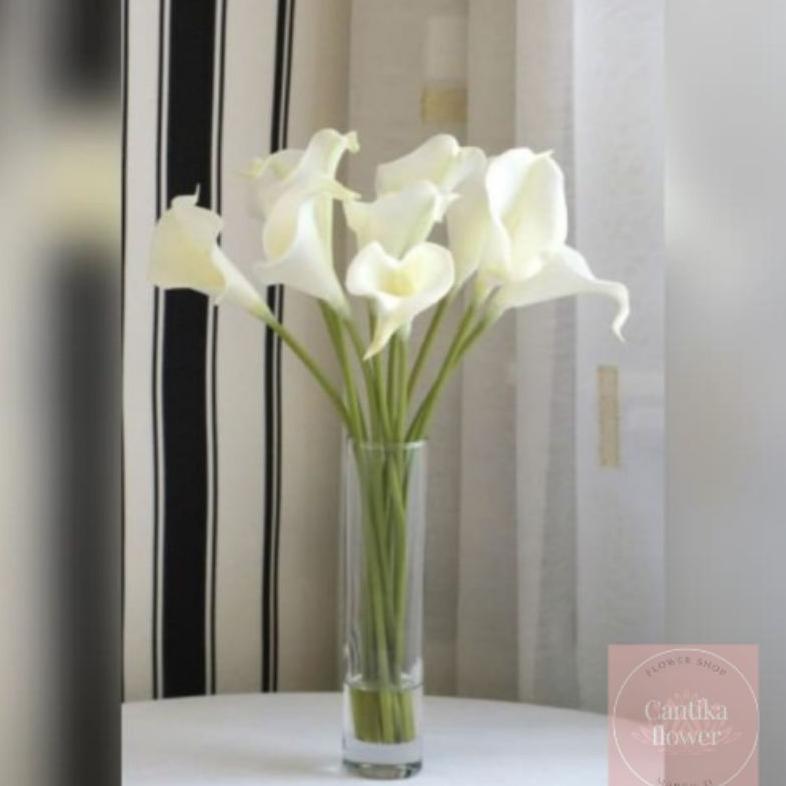 bunga Calla Lily putih asli fresh cantik per 5 tangkai