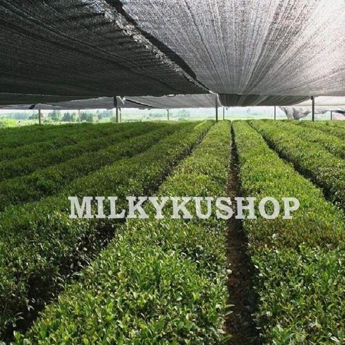PARANET 75% LEBAR 5 METER JUAL PER 1 METER SHADING NET JARING ATAP