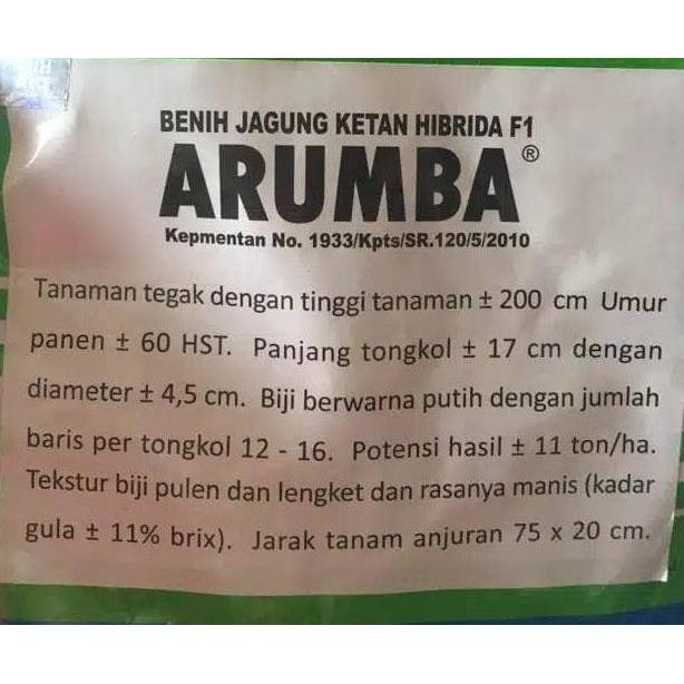 benih / bibit jagung pulut manis ARUMBA