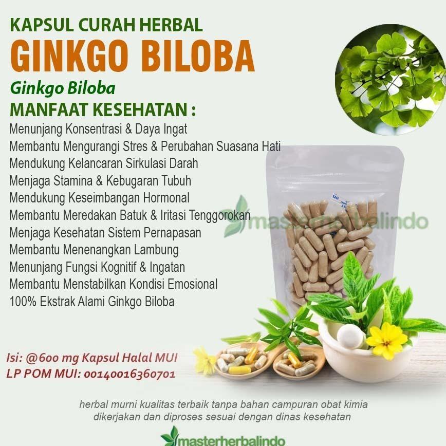 Ginkgo Biloba 100 Kapsul Curah Herbal
