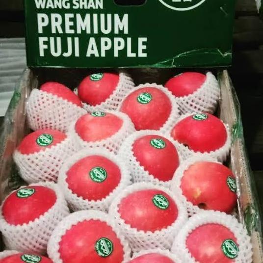 Fruting- Apel Fuji Premium Wang Shan I Pohon 900-1000 Gram-Raja Alpukat