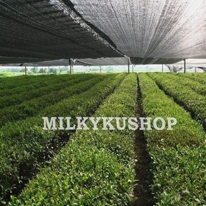 PARANET 75% LEBAR 5 METER JUAL PER 1 METER SHADING NET JARING ATAP