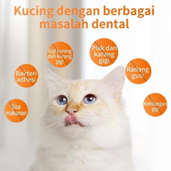 Catbull- Snack Penghilang Bau Nafas Mulut Kucing Pembersih Plak Gigi Penyegar Dialy Oral Care 50G Sn