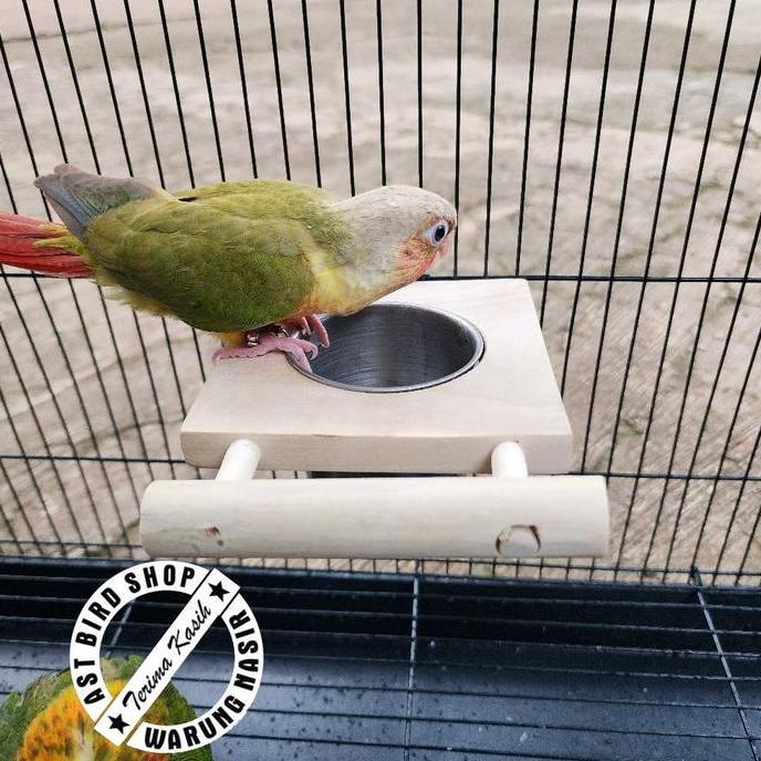 Tempat makan / minum bermain burung parrot natural wood