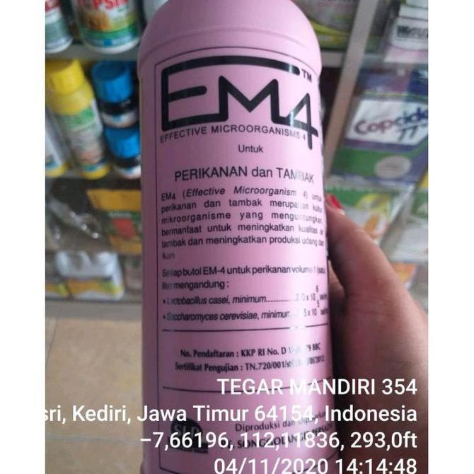 em4 ternak / em4 perikanan / em4 ikan / em4 air