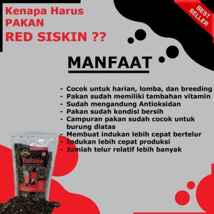 PAKAN SISKIN MAKANAN BURUNG RED SISKIN