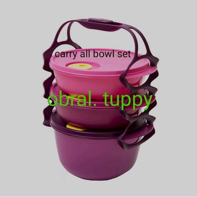 rantang carry all bowl tupperware