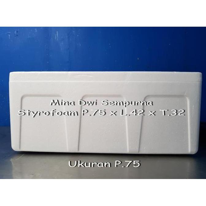 Styrofoam Box 30Kg-35Kg / Sterofoam Ikan Beku & Daging Beku/ Cool Box