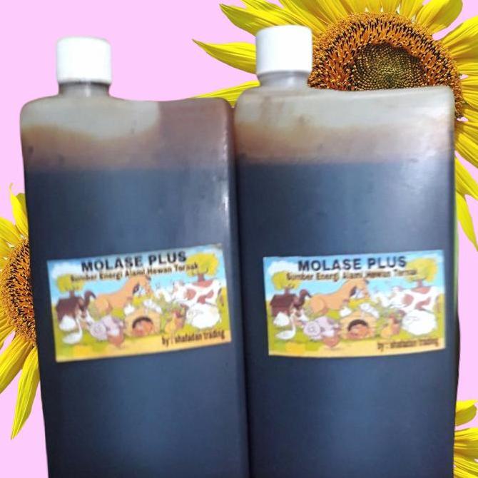 Molase Murni Kental Untuk Domba Kambing 1,4 kg