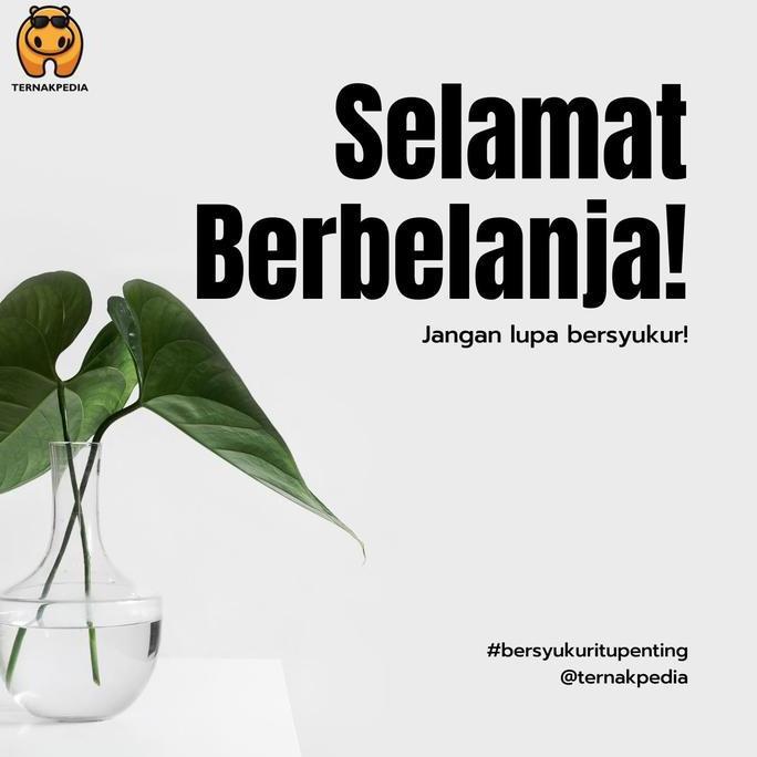 Anti ambruk 100 gram - Suplemen untuk sapi ambruk - Obat Ternak
