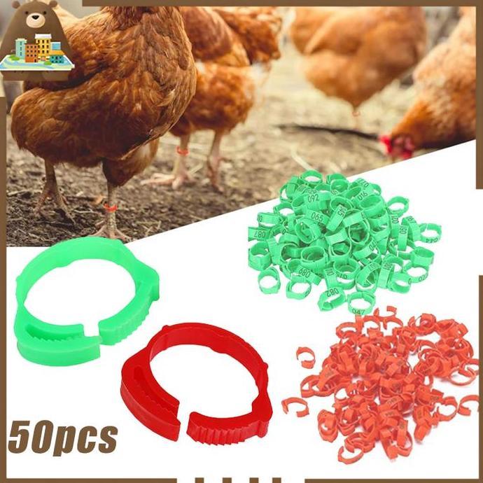 ARTHIONE 50pcs Cincin Kaki Ayam Cincin Kaki Ayam Bangkok Ring Ayam Bangkok Gelang Penanda Ayam Gelan