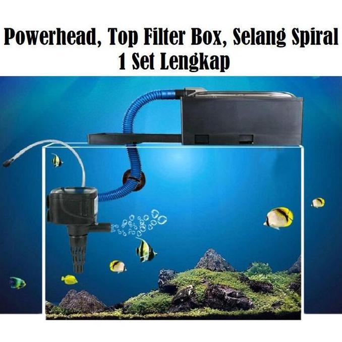 Handiknastujuh - Box filter lengkap, kotak filter aquarium, box filter aquarium lengkap, box filter,