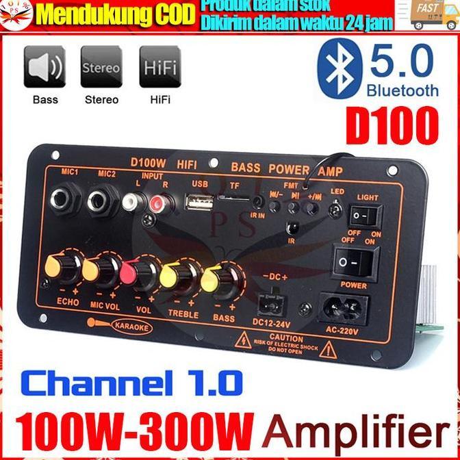 D100 Amplifier Board Bluetooth 5.0 Subwoofer 10 Inch 12Inch DIY 300W AC 220V 12V 24V Kit Mobil HIFI 