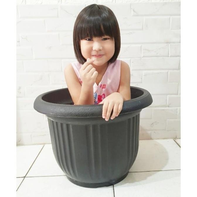 Pot Jumbo Tanaman Besar 50 Pot Tanaman Hias Buah Bunga Pot Hitam 50 Plastik Diameter 50 Warna Hitam 