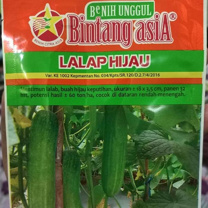 Benih Timun LALAP HIJAU 20 Gram Bintang Asia