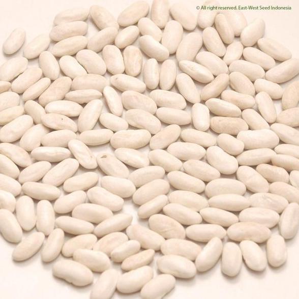 BUNCIS LOGAWA.BENIH LOGAWA,BENIH BUNCIS LOGAWA 500 GRAM