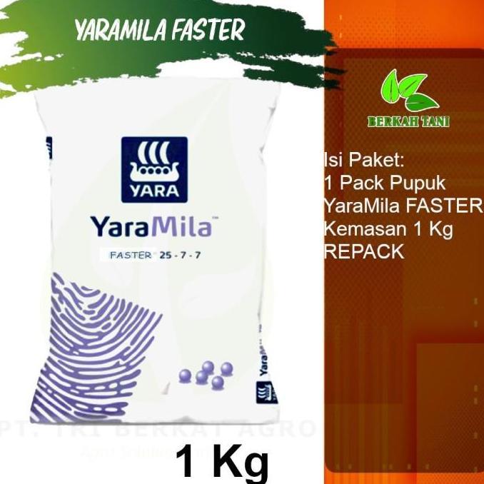 Yaramila Yara Mila Faster 1 Kg Umbi Dan Buah