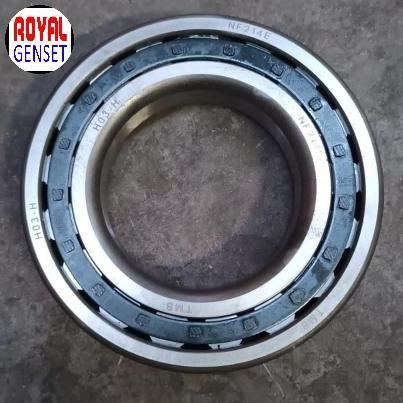 Diesel Changfa R185 Roll Bearing 300 Nf214E Klaher Crankshaft