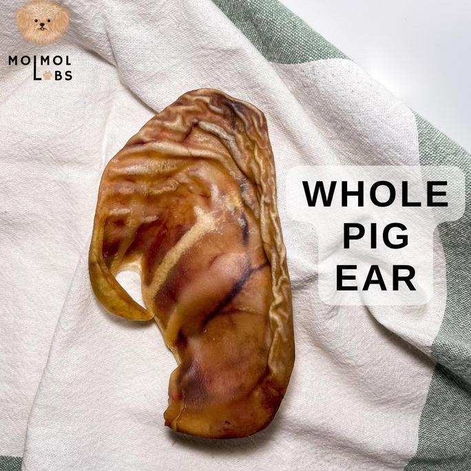 Dogndog- Pig Ear Dog Snack / Treat