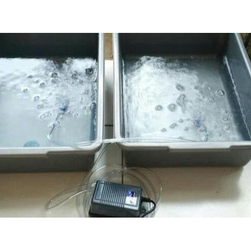 Pescare- Paket Lengkap Aerator Amara 1 Lubang Cabang 2 Output Untuk Aquarium