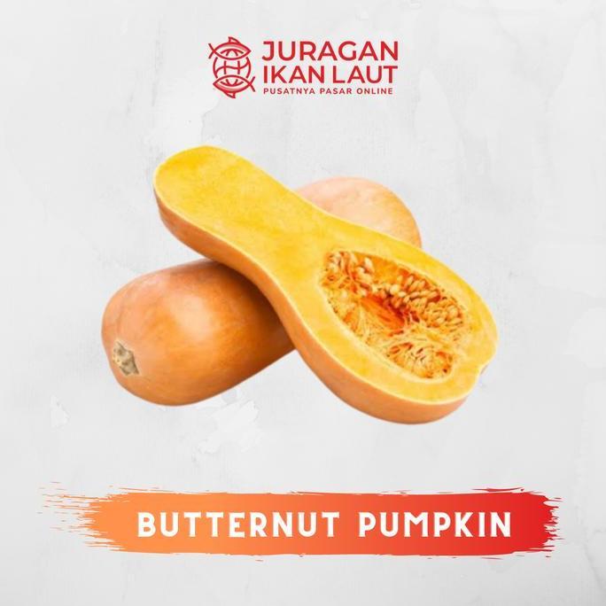 Verdura- Labu Madu Butternut Pumpkin Segar Berkualitas - 1 Buah