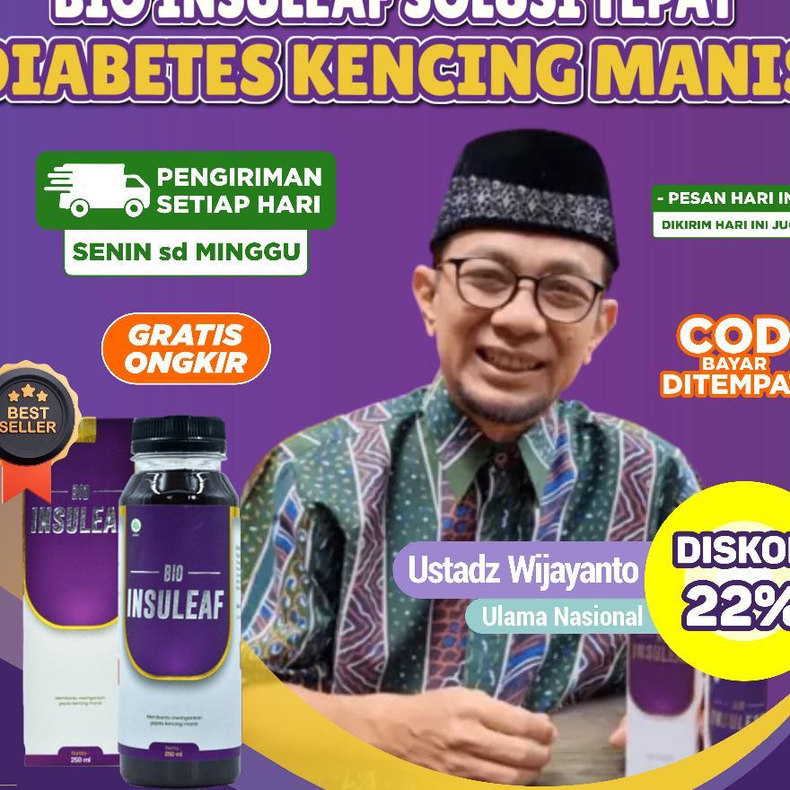 Bio Insuleaf Solusi Diabetes Original 1 Botol