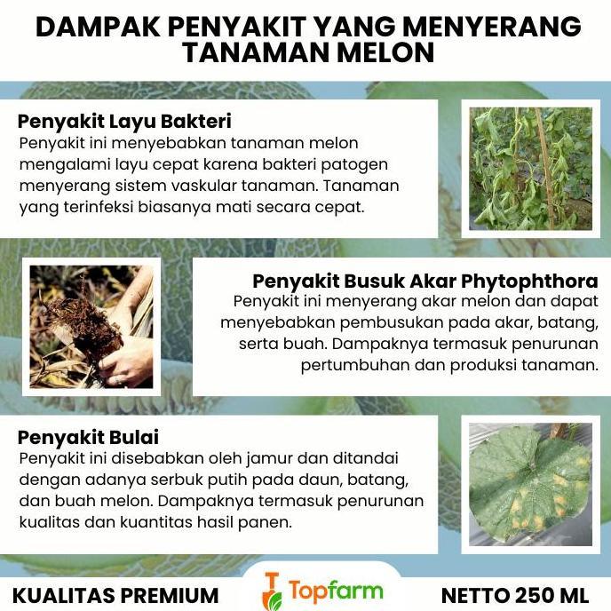 Obat Semprot Hama Melon / Insektisida Untuk Pohon Melon / Pestisida Devtop / Obat Pembasmi Hama Melo