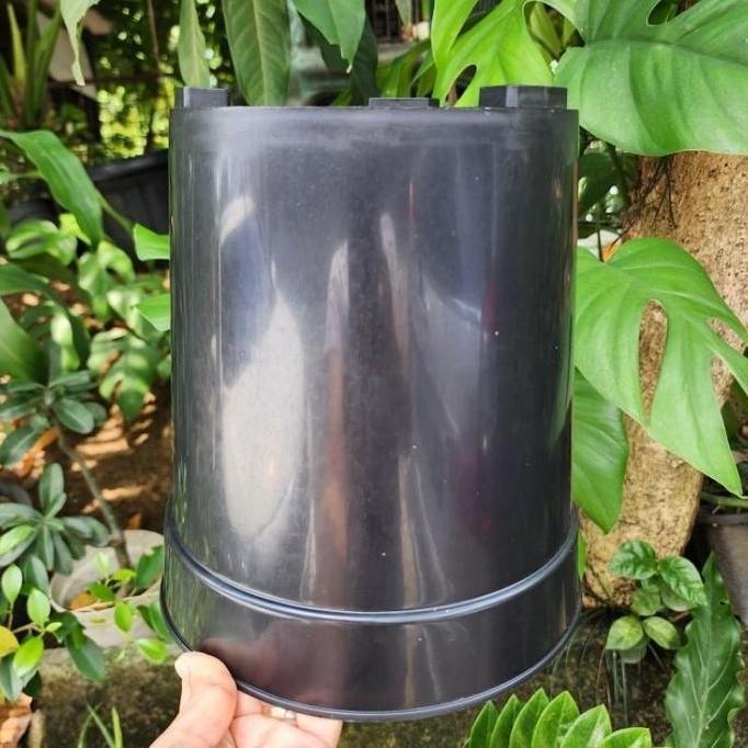 (6pc) POT UJB 25 (22CM) : pot bunga tabung tinggi polos murah bagus (ENAM)