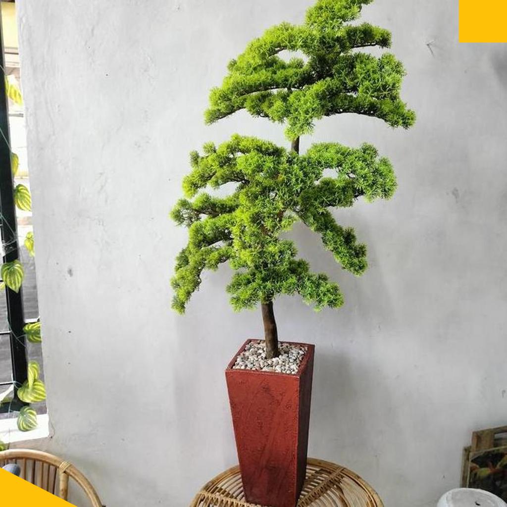 Pohon Bonsai Cemara Udang Tinggi 120 Cm - Pohon Bonsai Artificial