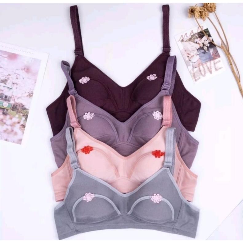 Recommended Bra Menyusui Bra Netek Kutang Brasi Tanpa Kawat