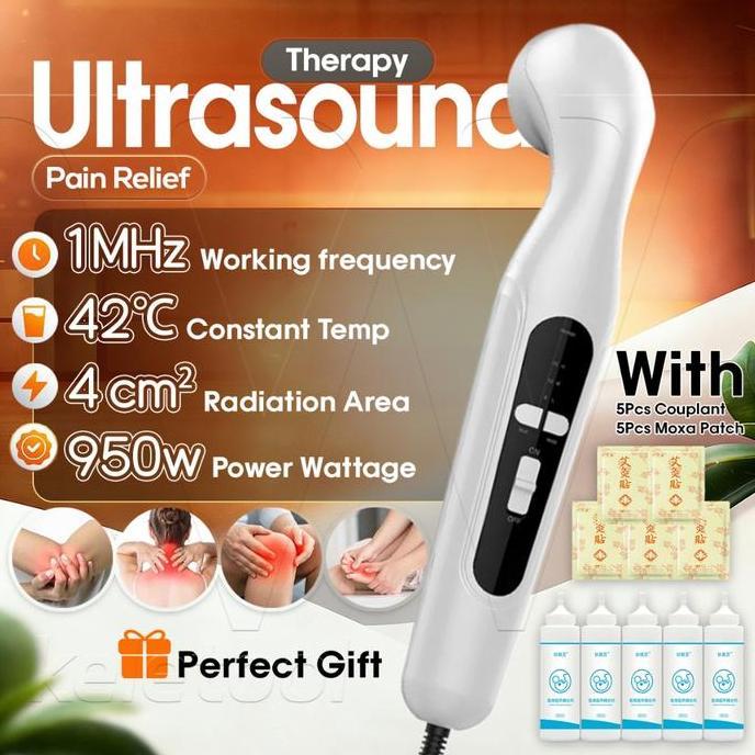DUDLEY Portable Ultrasound Fisioterapi 1MHz Profesional Ultrasound Pain Relief Therapy Terapi Fisiot