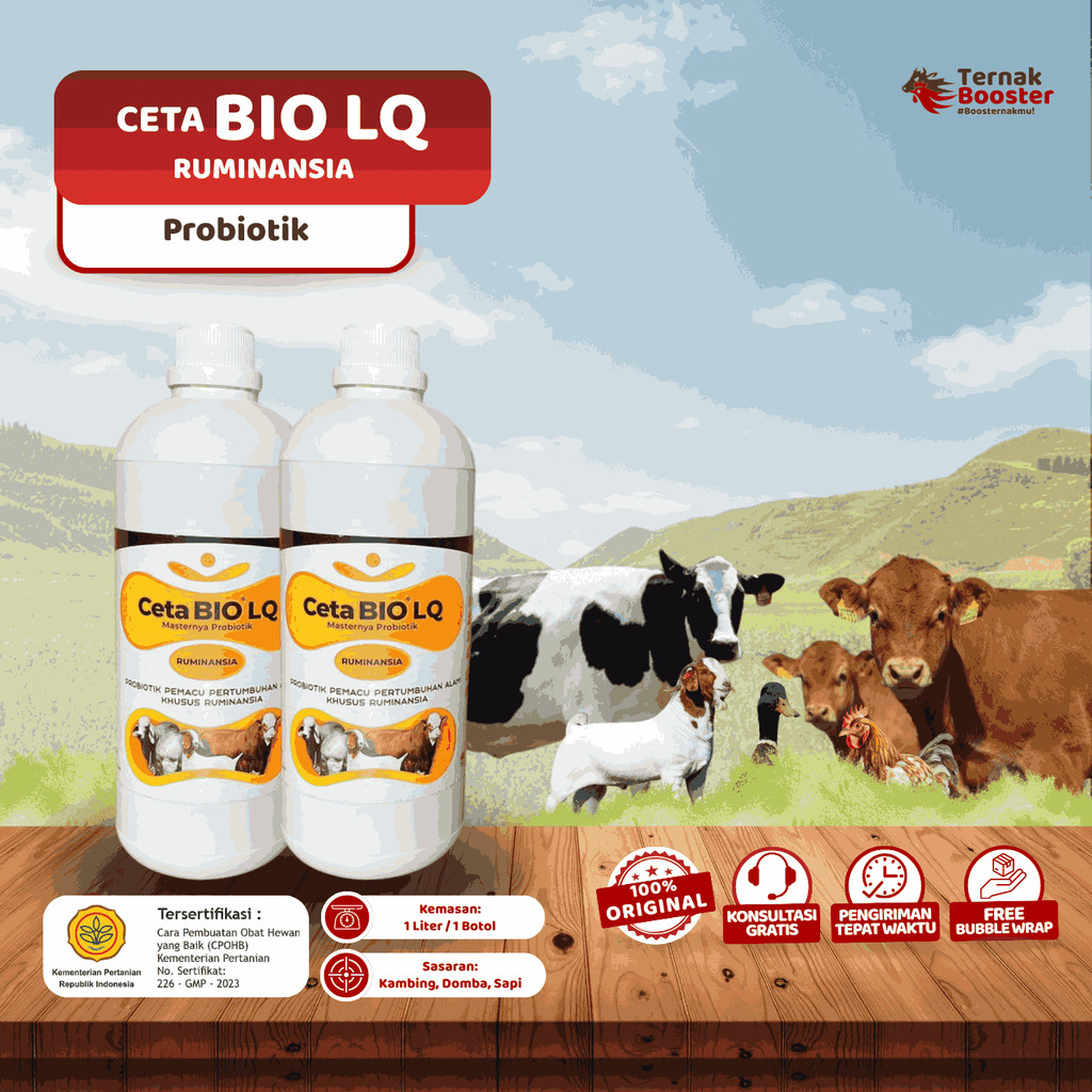 Probiotik Penggemuk RUMINANSIA - Ceta Bio LQ Suplement & Penanganan Mencret pada Ternak