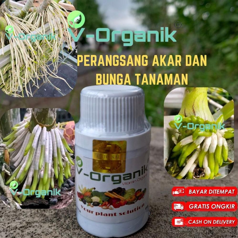 Promo Cod Pupuk Anggrek Pupuk Tanaman Hias Perangsang Akar Dan Bunga Tanaman Hias ><
