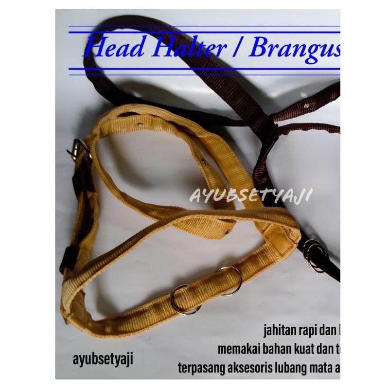 Brangus Sapi Head Halter sapi kambing kuda Tali ikat kepala Sapi tali tuntun Tali Harnes sapi kalung
