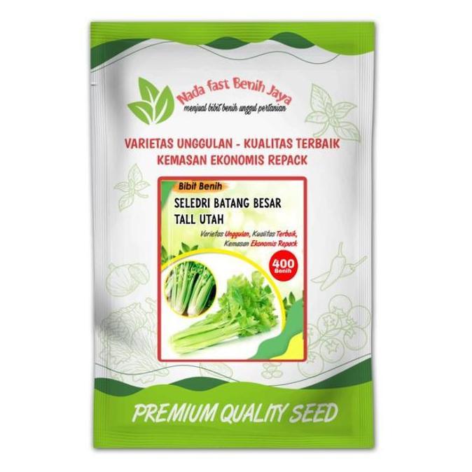400 biji Benih seledri batang besar Celery Tall Utah - bibit Seledri Batang Besar