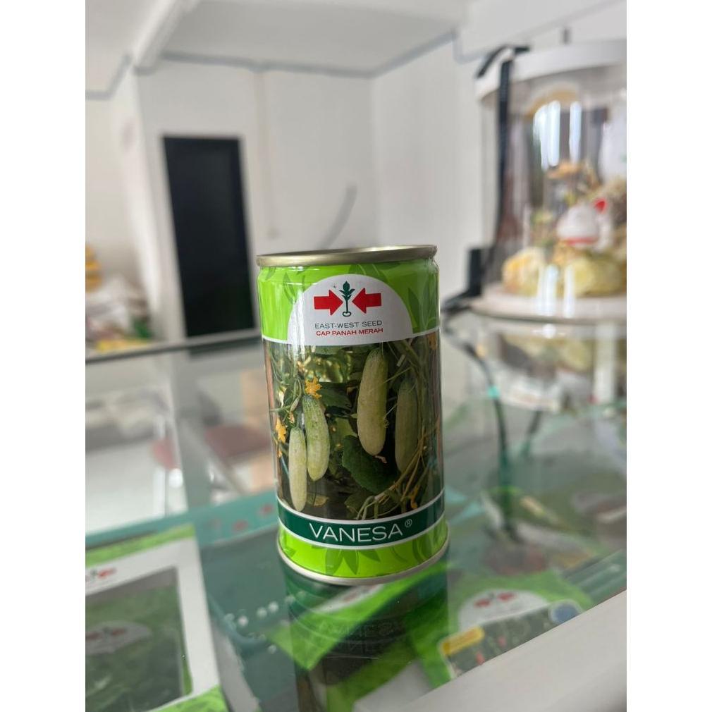 Ready Benih Vanesa 50 gram Timun Cap Panah Merah / Timun Baby