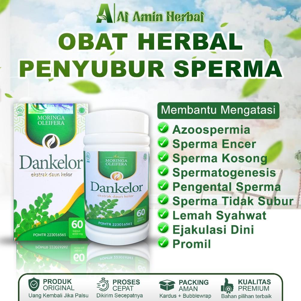 (Terbaru) Obat Penyubur Sperma Pria, Obat Sperma Encer, Pengental Sperma, Azoospermia, Sperma Kosong