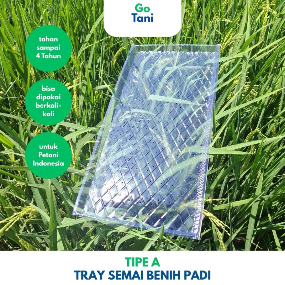 Promo Cod ( Tipe A ) Tray Semai Benih Padi / Tray Semai Padi / Wadah Semai Padi / Tray Semai ><