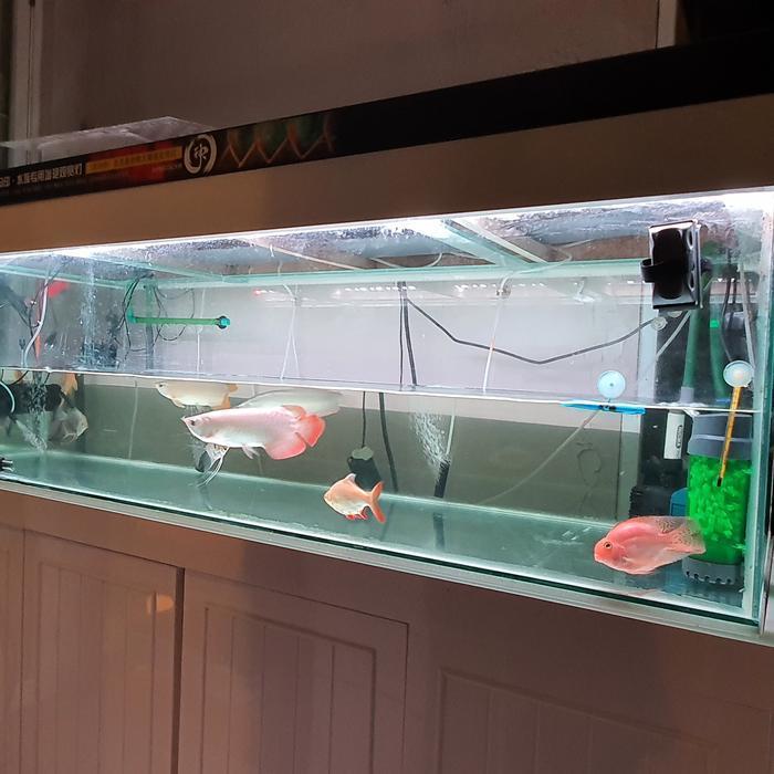 Mayin view LED lampu Aquarium 92cm/20watt