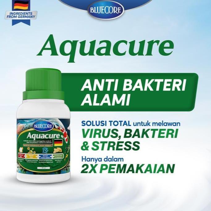 Terlaris Bluecore Aquacure Antibiotik Alami Ikan Solusi Mencegah Bakteri Dan Virus (Cocok Untuk Berb