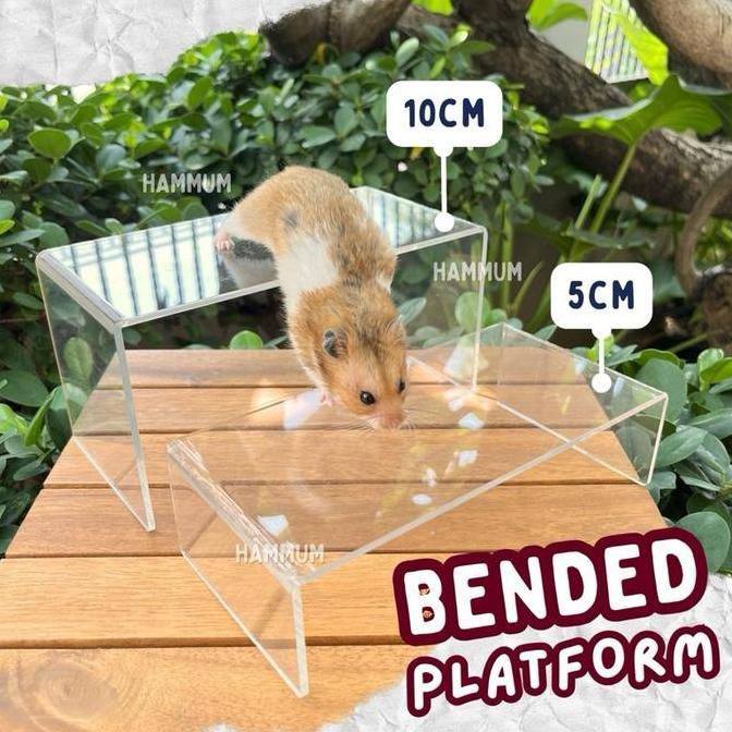 Platform Hamster | Acrylic Platform Meja Bening | Platform Akrilik Hamster Landak Mini