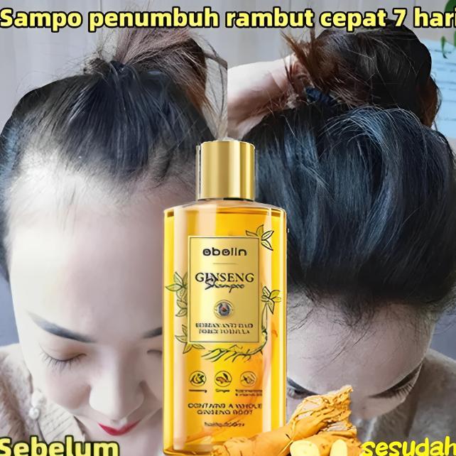 Ready stok Paket Hemat Shampo Anti Rontok dan Ketombe Kurangi Rambut Lepek 2 Shampo Ebelin Ginseng 2
