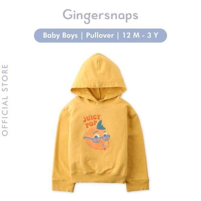 Gingersnaps Baby Hodgepodge Pullover - Jaket Bayi Laki-laki