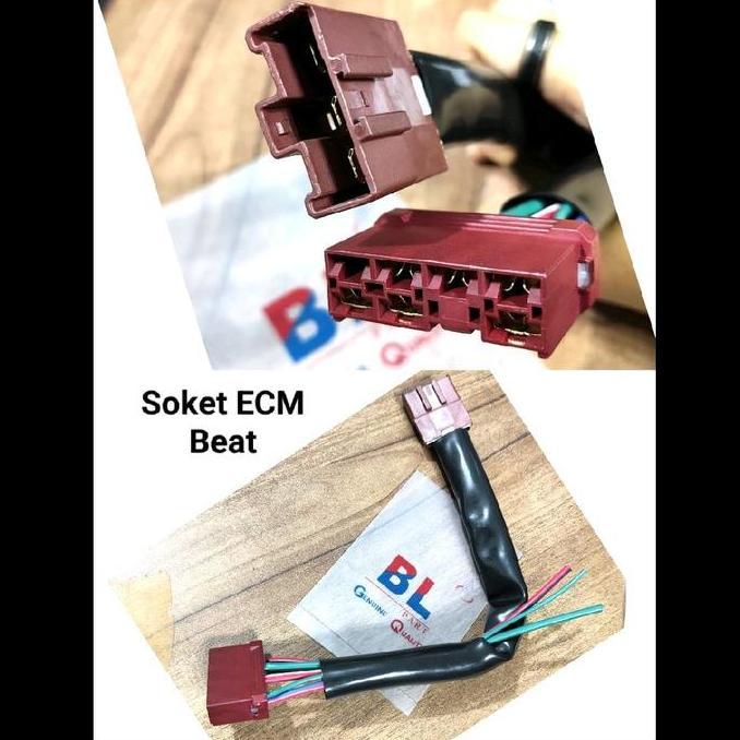 Soket / Socket Ecm Untuk Motor Beat Asli