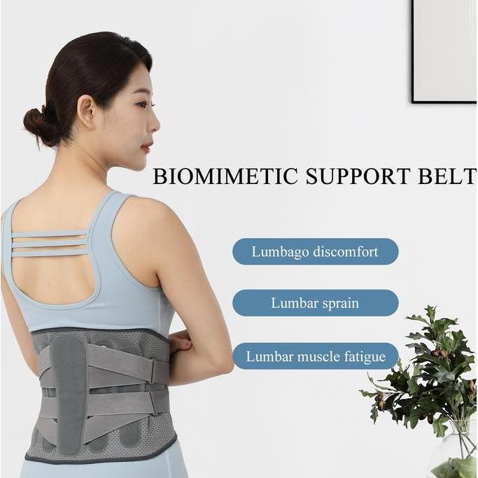 Korset tulang belakang Korset Lumbal Wanita Pria Belt Back Lumbar Waist Support Korset HNP LBP Penga