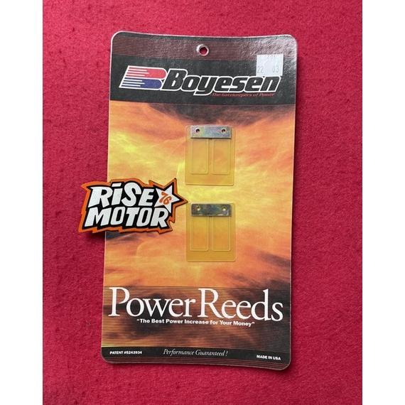 LIDAH VALVE MEMBRAN BOYESEN RX KING