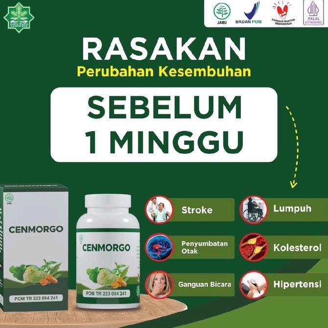 Cenmorgo Herbal Untuk Melancarkan Peredaran Darah